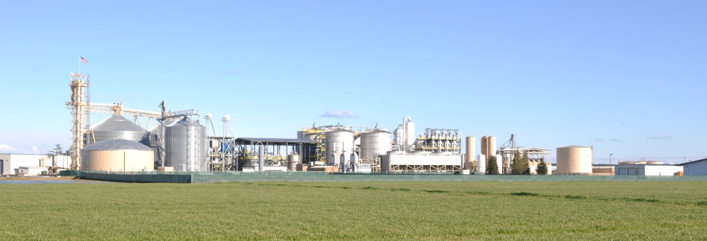 Argentina to boost ethanol use in fuels